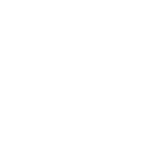 Language Detective logo