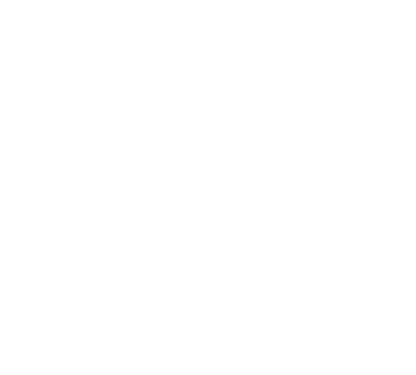 ViReTrain logo