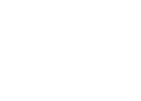 VR-Intense logo